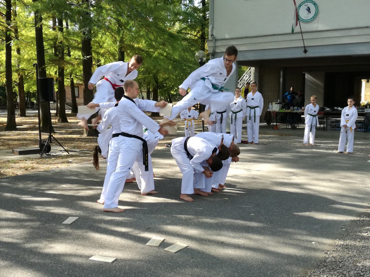 Er Pr B Ztunk M T Taekwondo